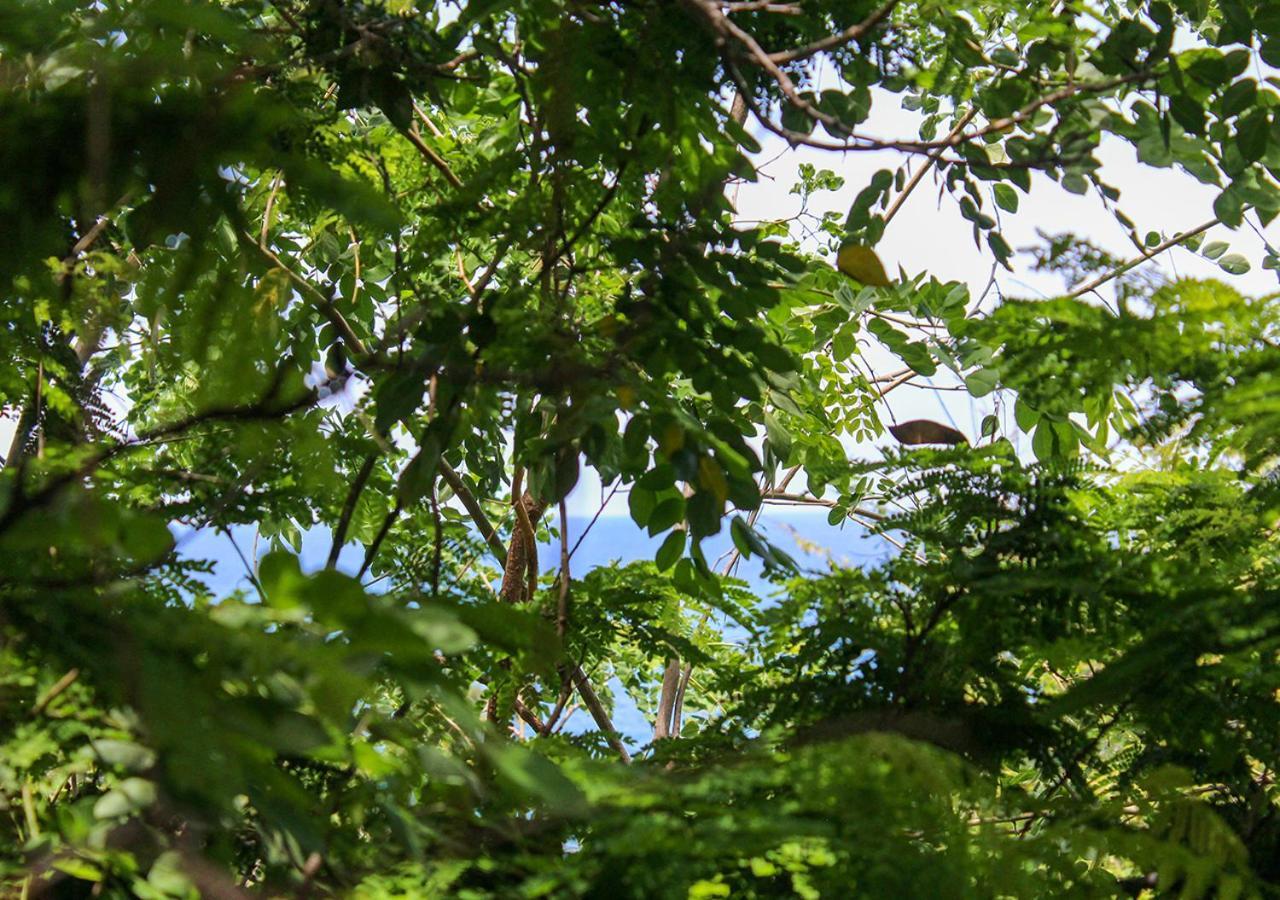 Posada La Sabila Mazunte Bagian luar foto